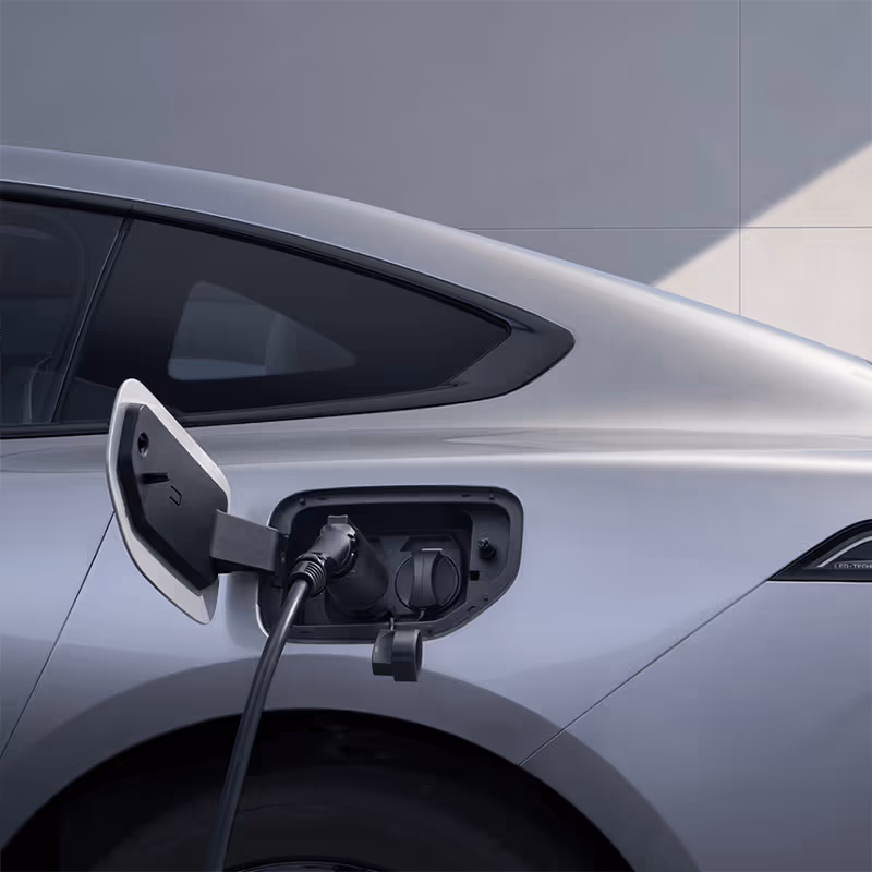 Fast Charging